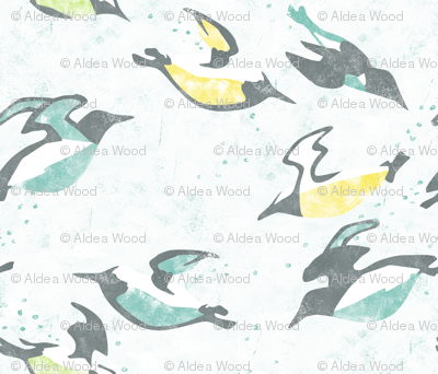 Underwater Flight -- Murres Swimming