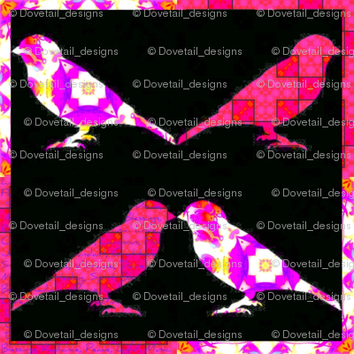 Bird Songs 24 - Duets - Birds of a Feather