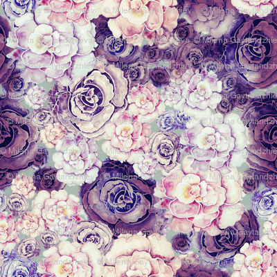 Peonies 1