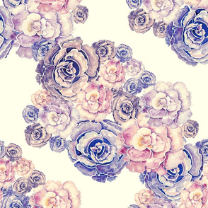 Peonies 4