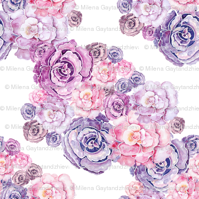 Peonies 5