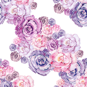 Peonies 5
