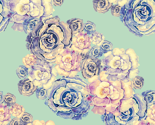 Peonies 6