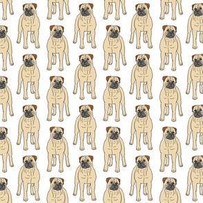 Standing Bullmastiffs