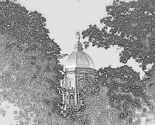 Rdome_bw_thumb