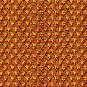Fall pheasant 