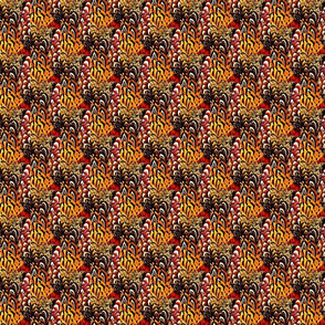Pheasant Flame