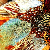 Pheasant Run