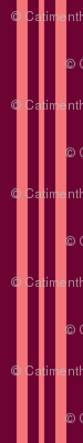 Pink Dalek - Stripe