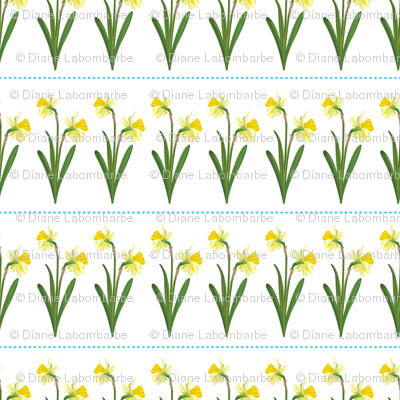 Spring Daffodils