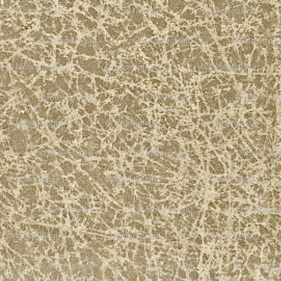 Old Scroll