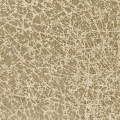 Rrrrtexture__scroll_ed_shop_thumb