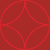 Graphic Circles Red - Large