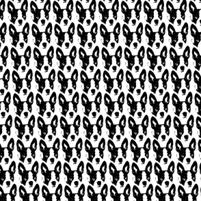 Boston Terrier Pattern 