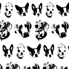 Dog Heads 