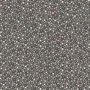Winter Berries on Pebbles