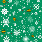 Snowflake Coordinate