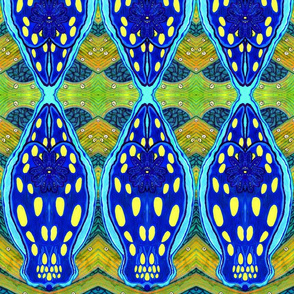 Nudibranchia
