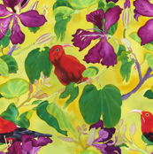 Iiwis_in_Orchid_Tree-1repeat