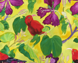 Iiwis_in_orchid_tree-1repeat_thumb