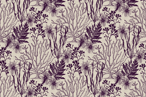 Poseidon Plum