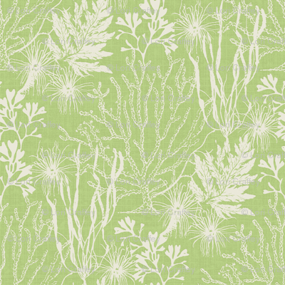 Poseidon Spring
