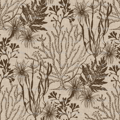 Poseidon Umber