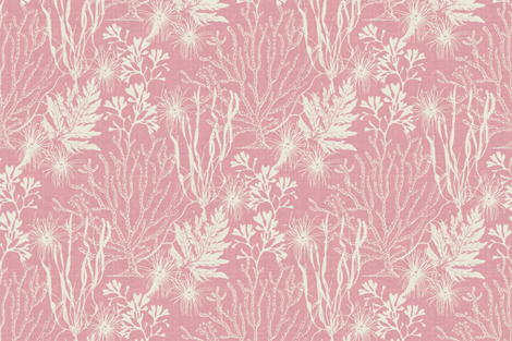 Poseidon Pink