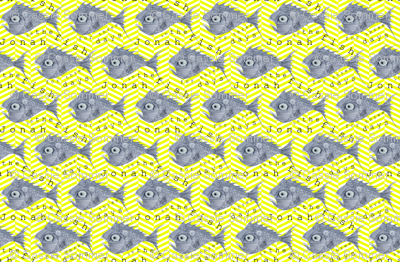 FISH_finished_YELLOW_ZIG_ZAG_background