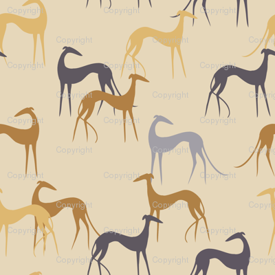 Sighthounds