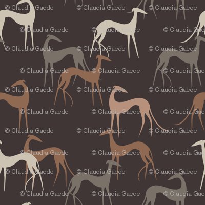 Sighthounds