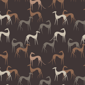 Sighthounds