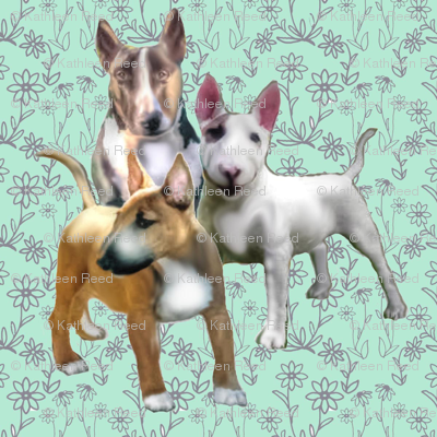 Bull Terriers and Flowers