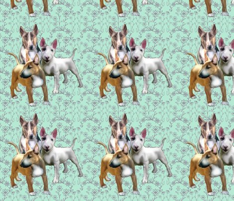 1591245_rbull_terriers_shop_preview