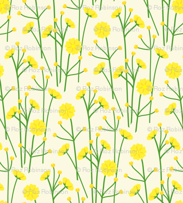Buttercups - cream