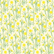 Rmeadow_flowers_sf_designs3-04_shop_thumb
