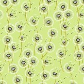 Rmeadow_flowers_sf_designs3-16_shop_thumb