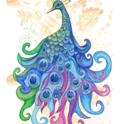 Peaceful Peacock