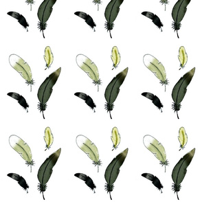 natural feathers