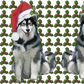 alaskan_malamute_christmas