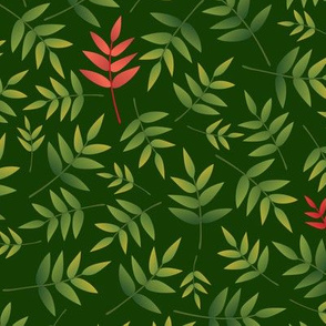 Nandina leaves-DarkGreen