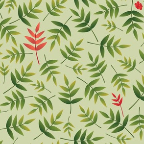 Nandina leaves on PaleGreen