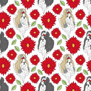 Shih Tzu and Chrysanthemum - red