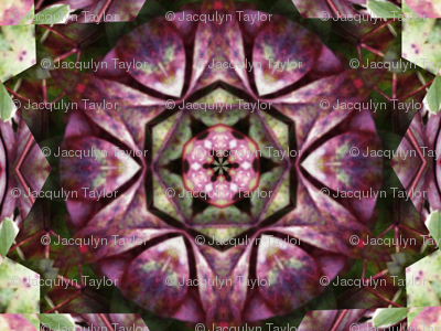 Kaleidescope 0946