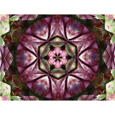 Rrrrimg_0946