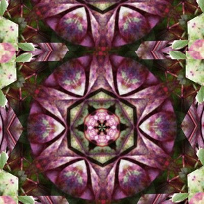 Kaleidescope 0946