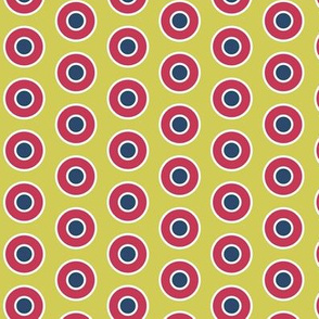Poppies for Matisse