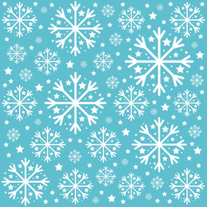 Winter Snowflake