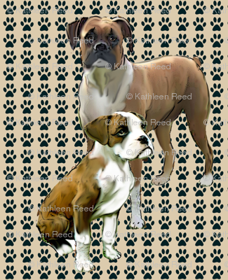 Double Trouble Boxers