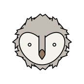 Owl Face